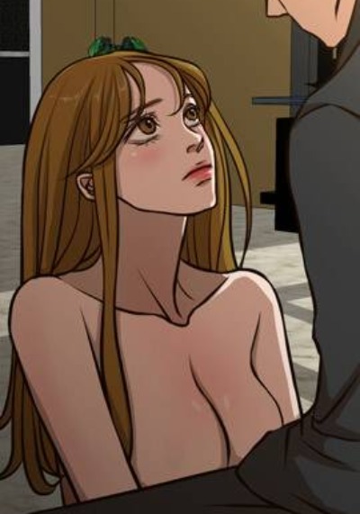 间谍过家家 封面